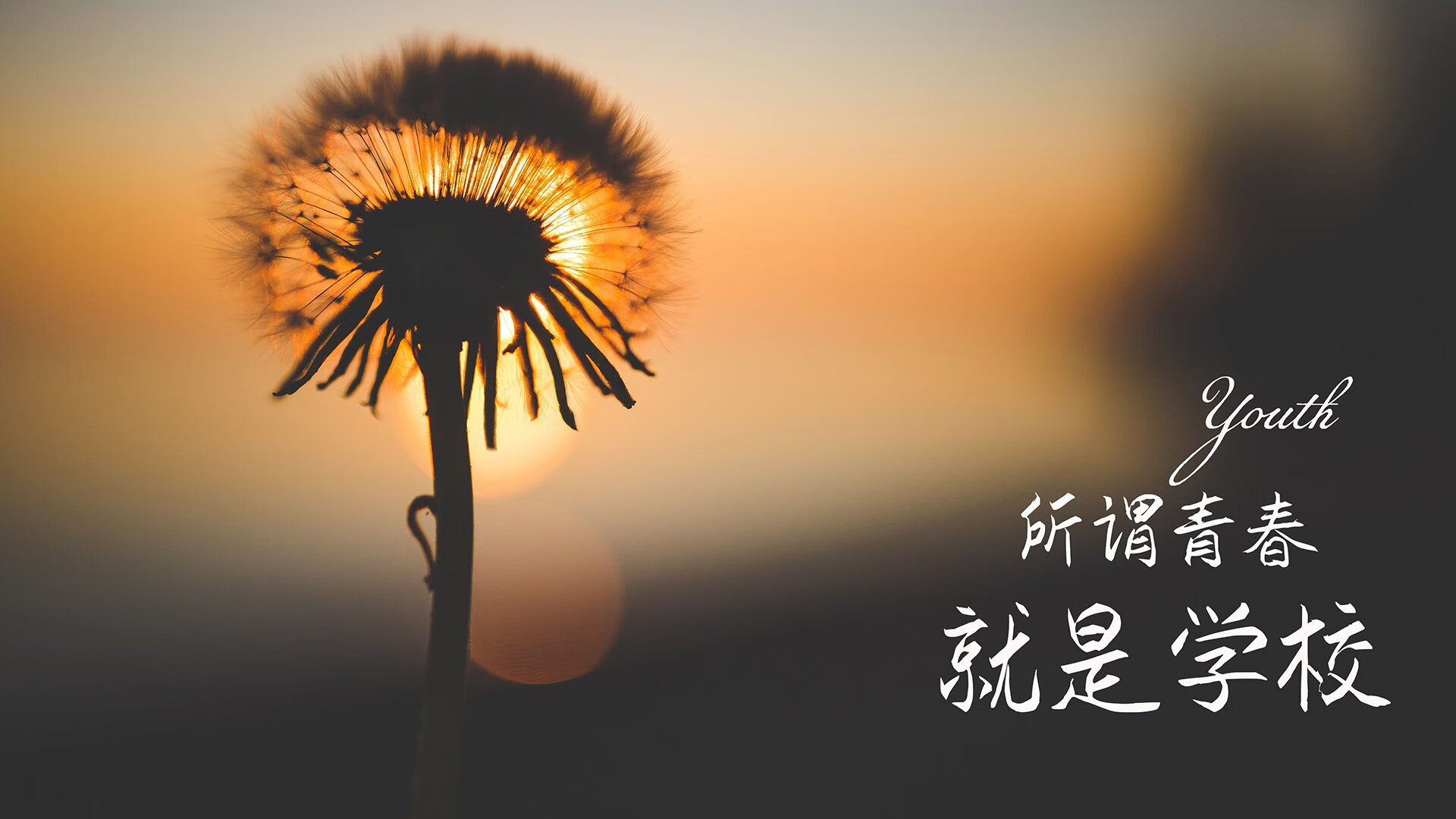 _户外水上漂流：自然探险的极致体验_，水上户外用品