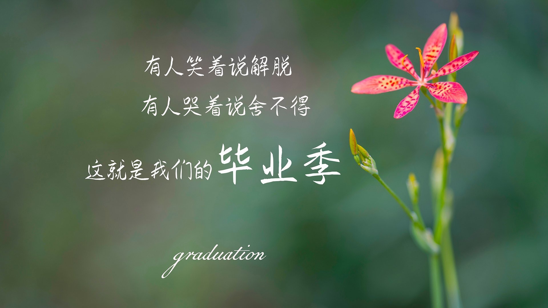 《比赛前瞻：本年度最值得期待的决赛亮点》，决赛前的比赛叫什么
