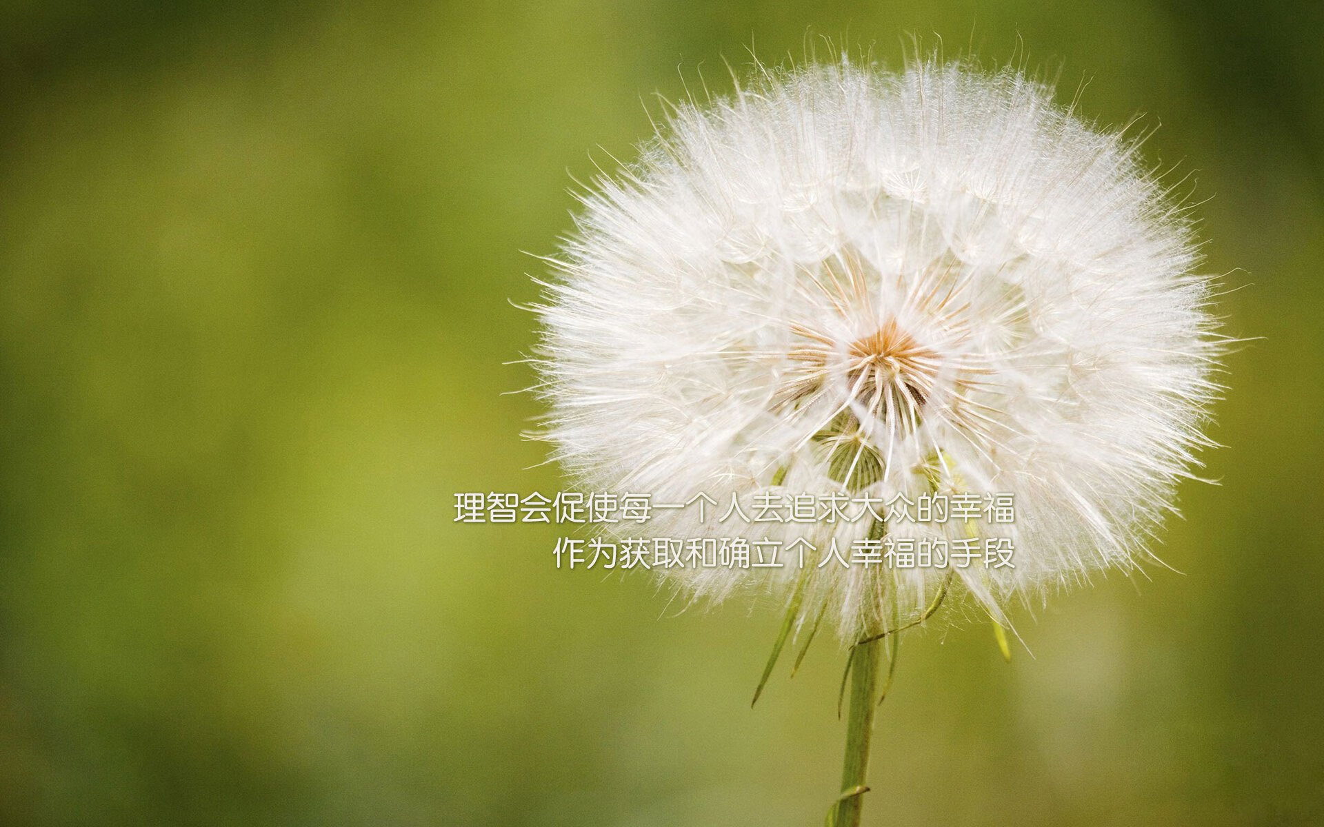 CBA总决赛G3辽宁大胜浙江，总比分2_1领先，cba总决赛辽宁视频
