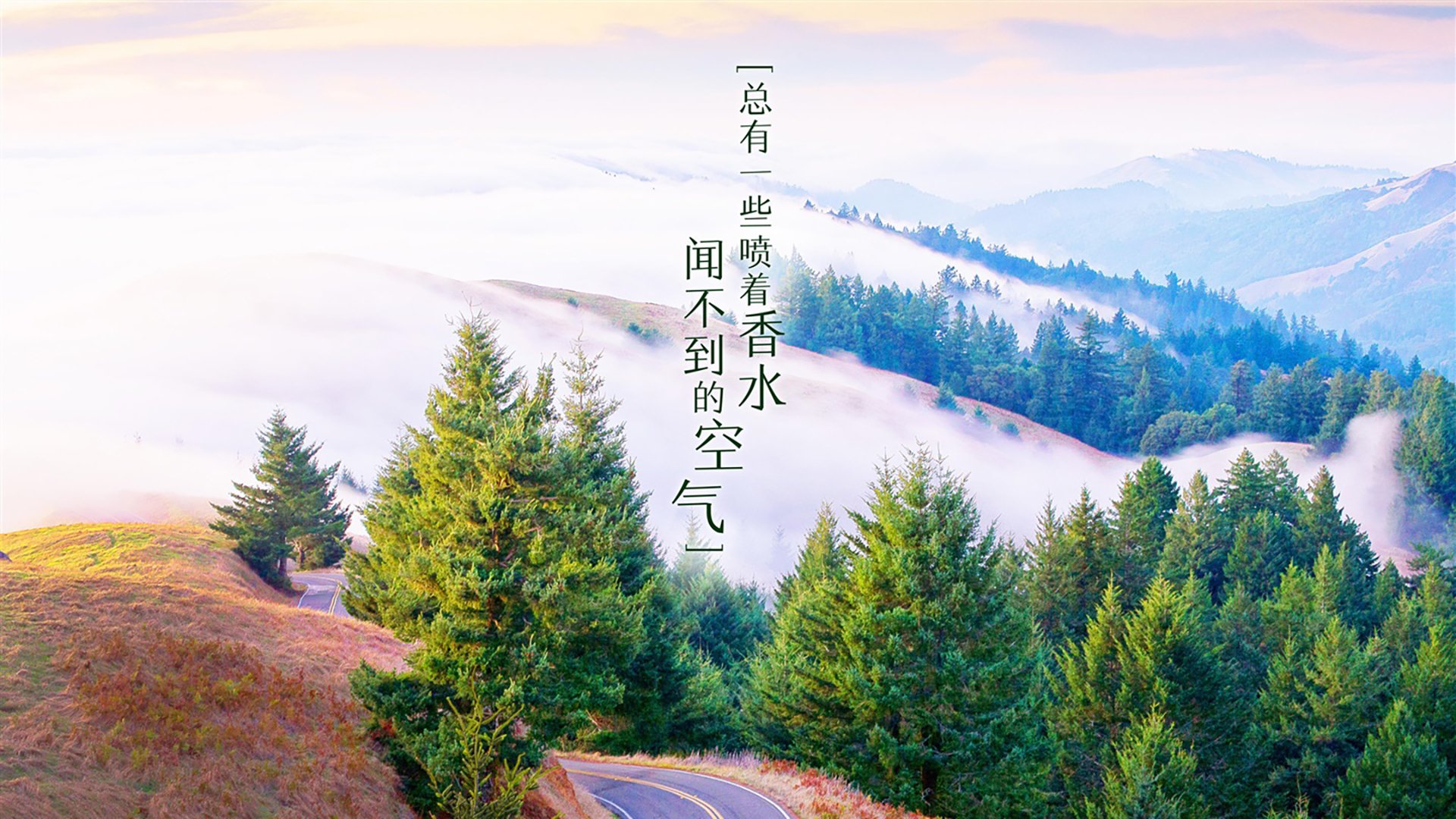 全北蔚山将展开双线作战挑战，全北和蔚山关系