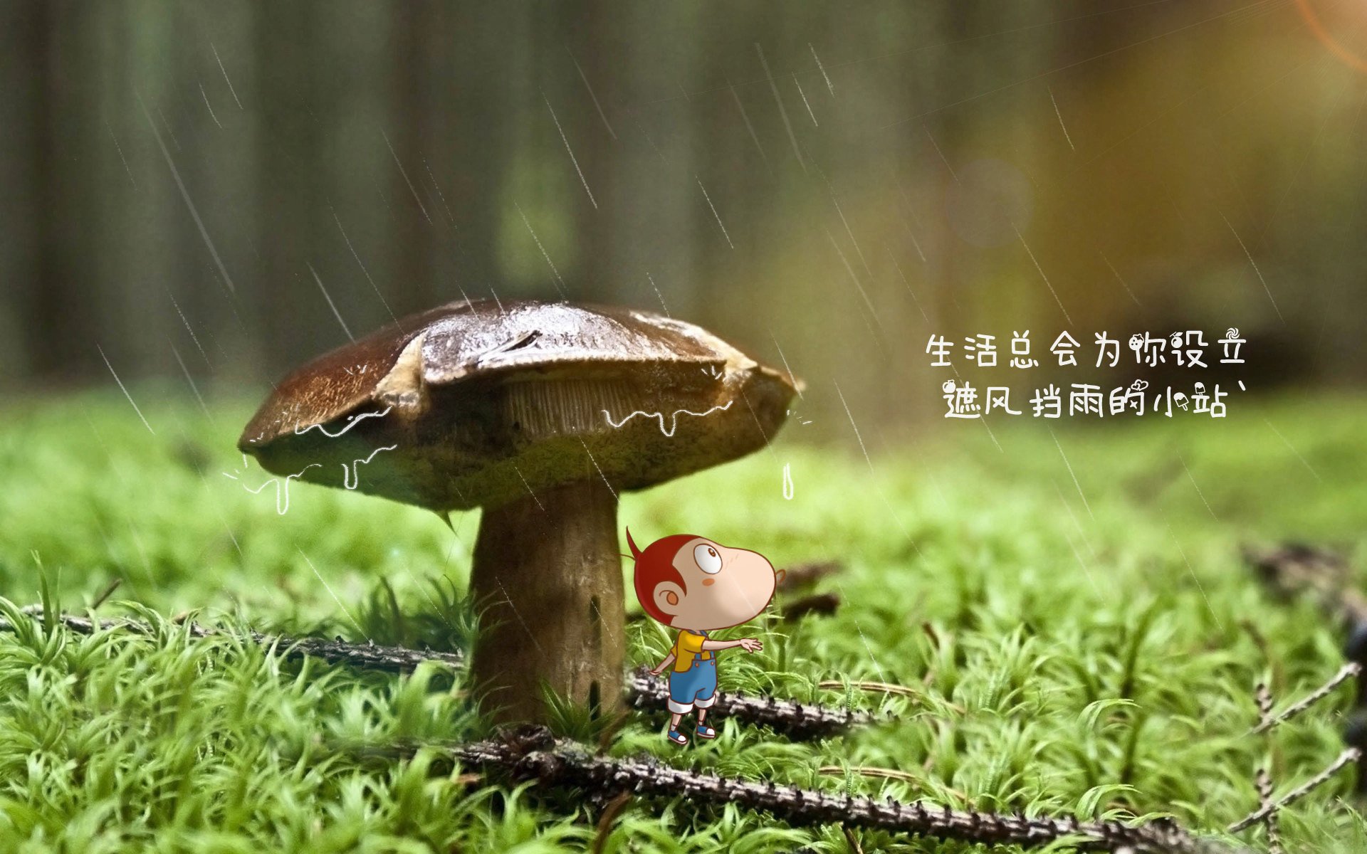 巴西举办篮球主题展览，巴西篮协