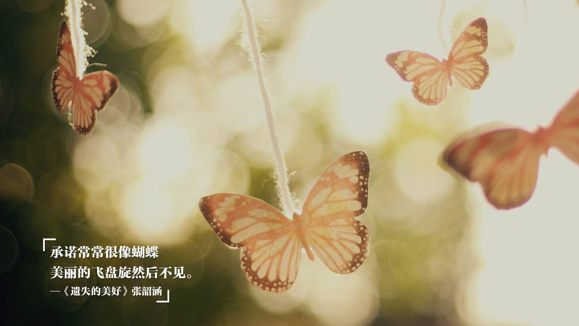 缅因凯尔特人迎来重要胜利，缅因凯米尔和银虎配出什么色