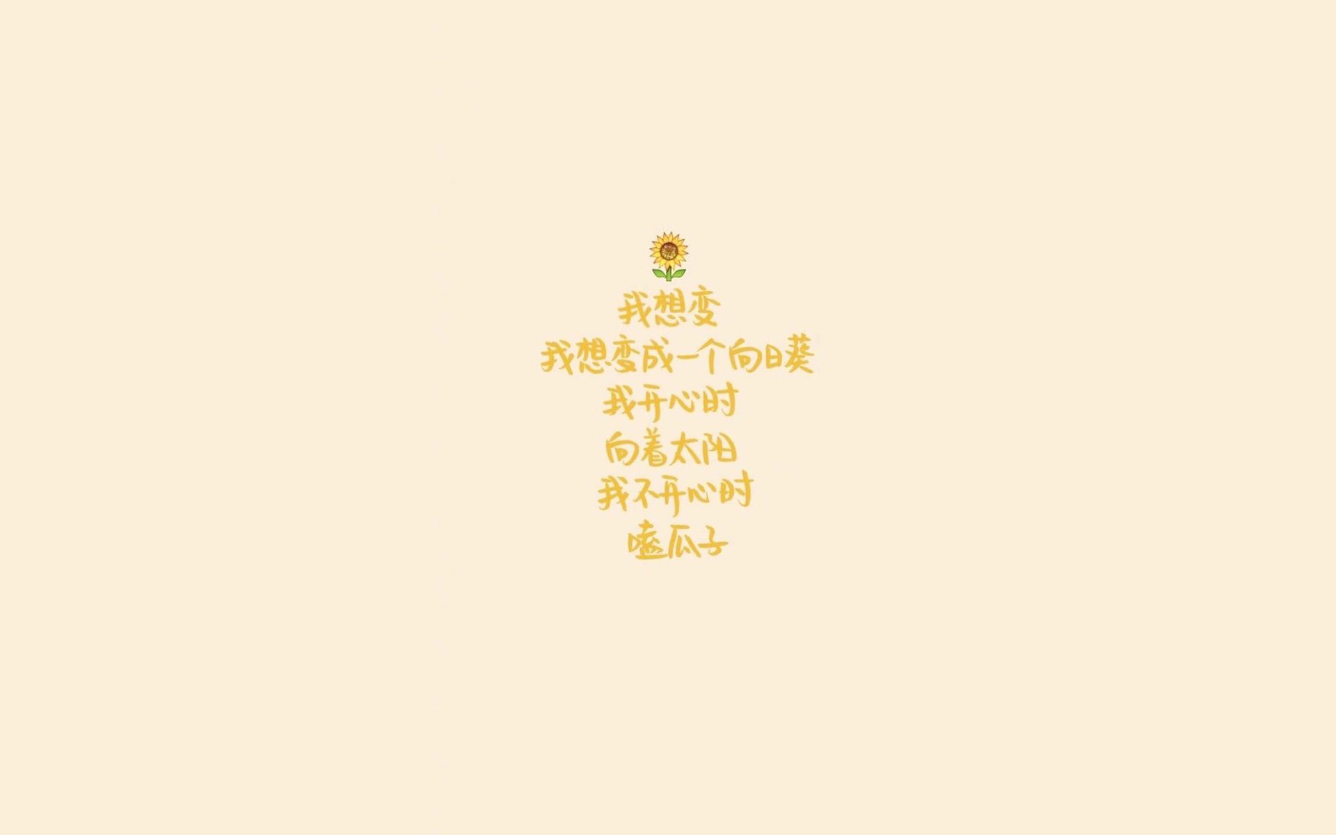 葡萄牙体育新赛季训练营开营，葡萄牙体育联赛冠军