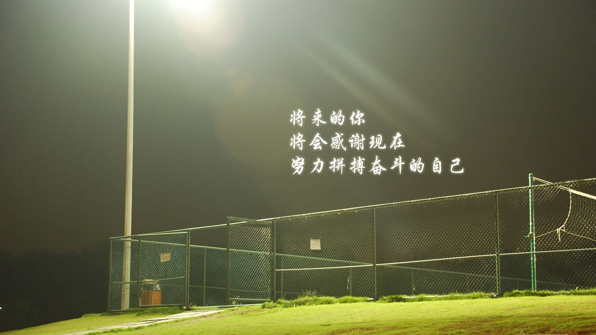 鹰之翱翔：挪威队挑战德国，战术博弈，挪威近期战绩