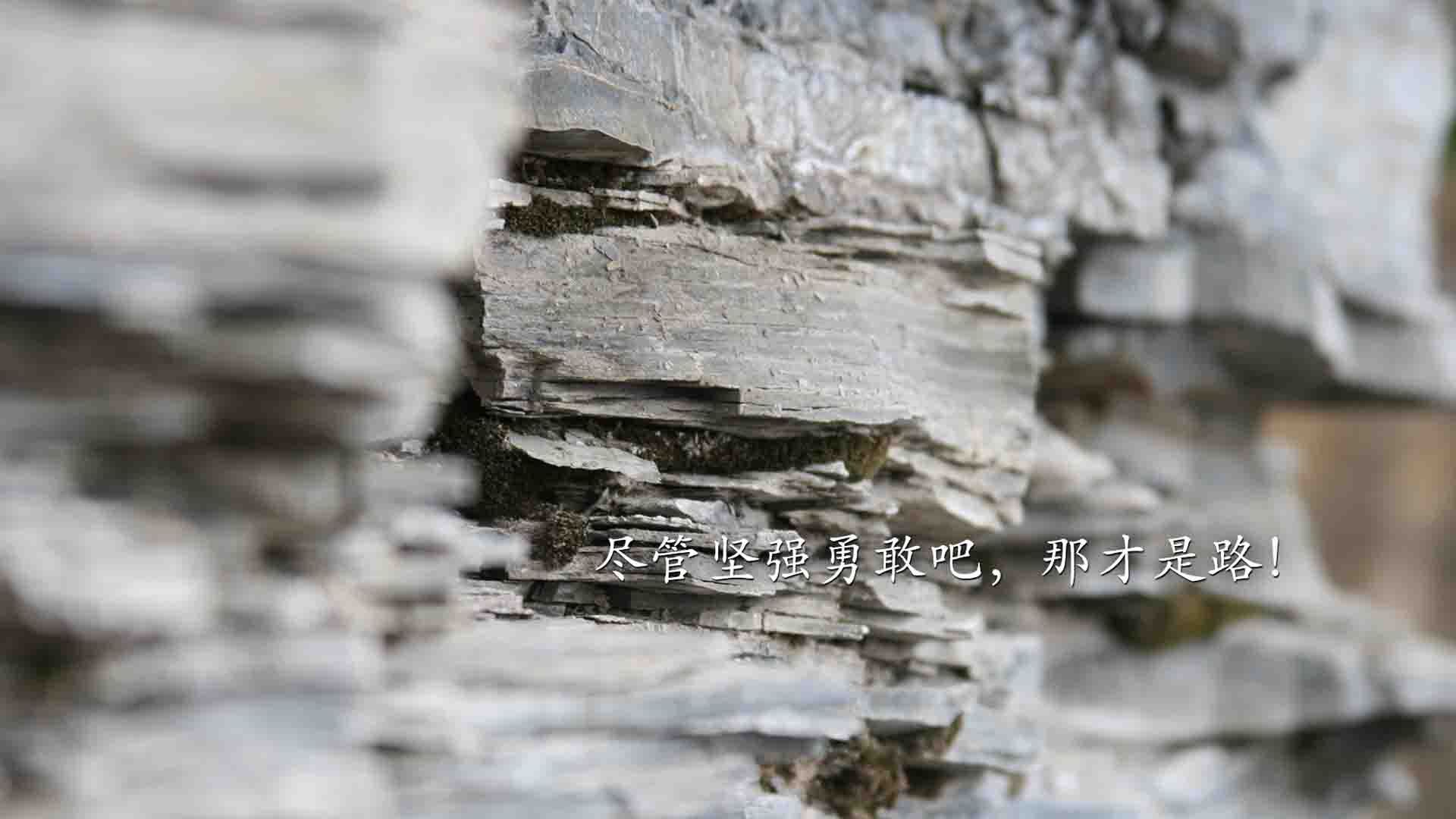 “武汉马拉松赛：每一秒都决定命运”