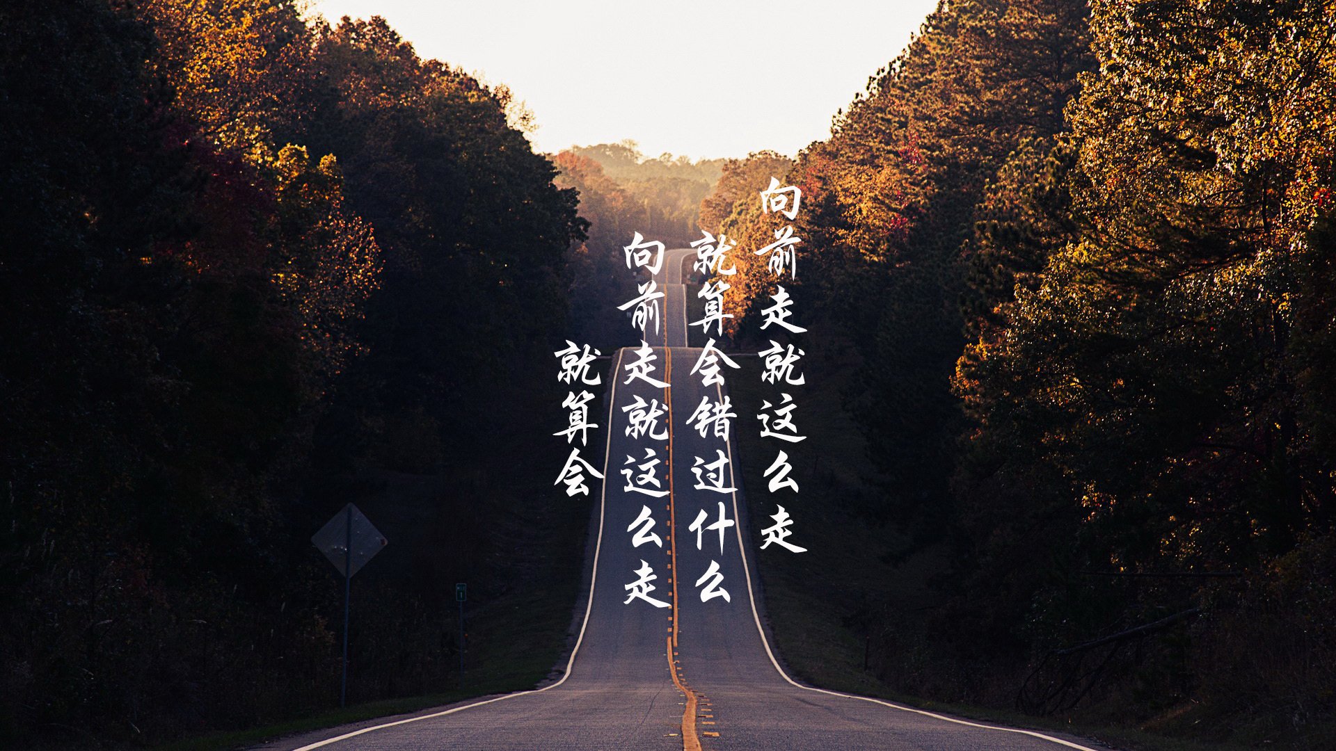 辽宁飞豹后场球员掌控节奏组织串联流畅，辽宁飞豹主场在哪