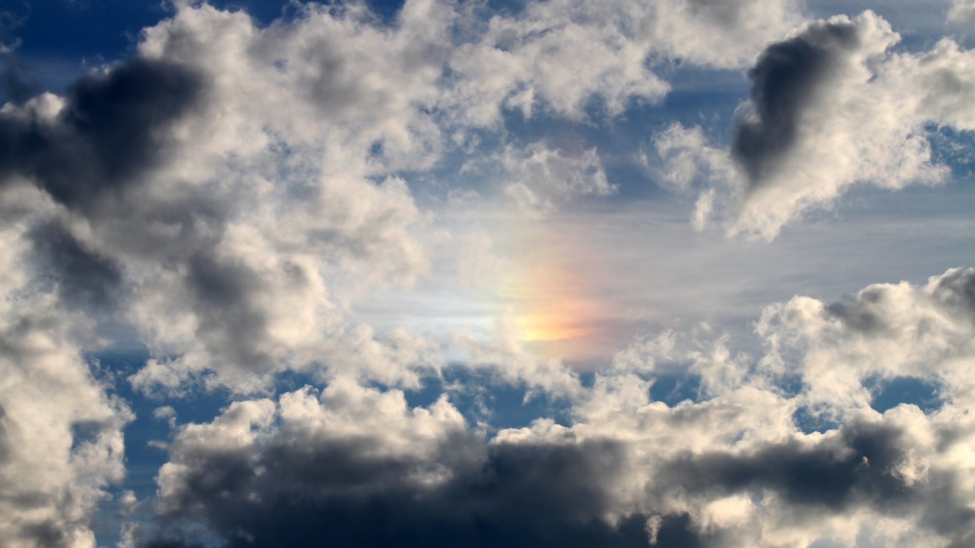 体育新闻中心体坛人物特写，体育新闻特写范文