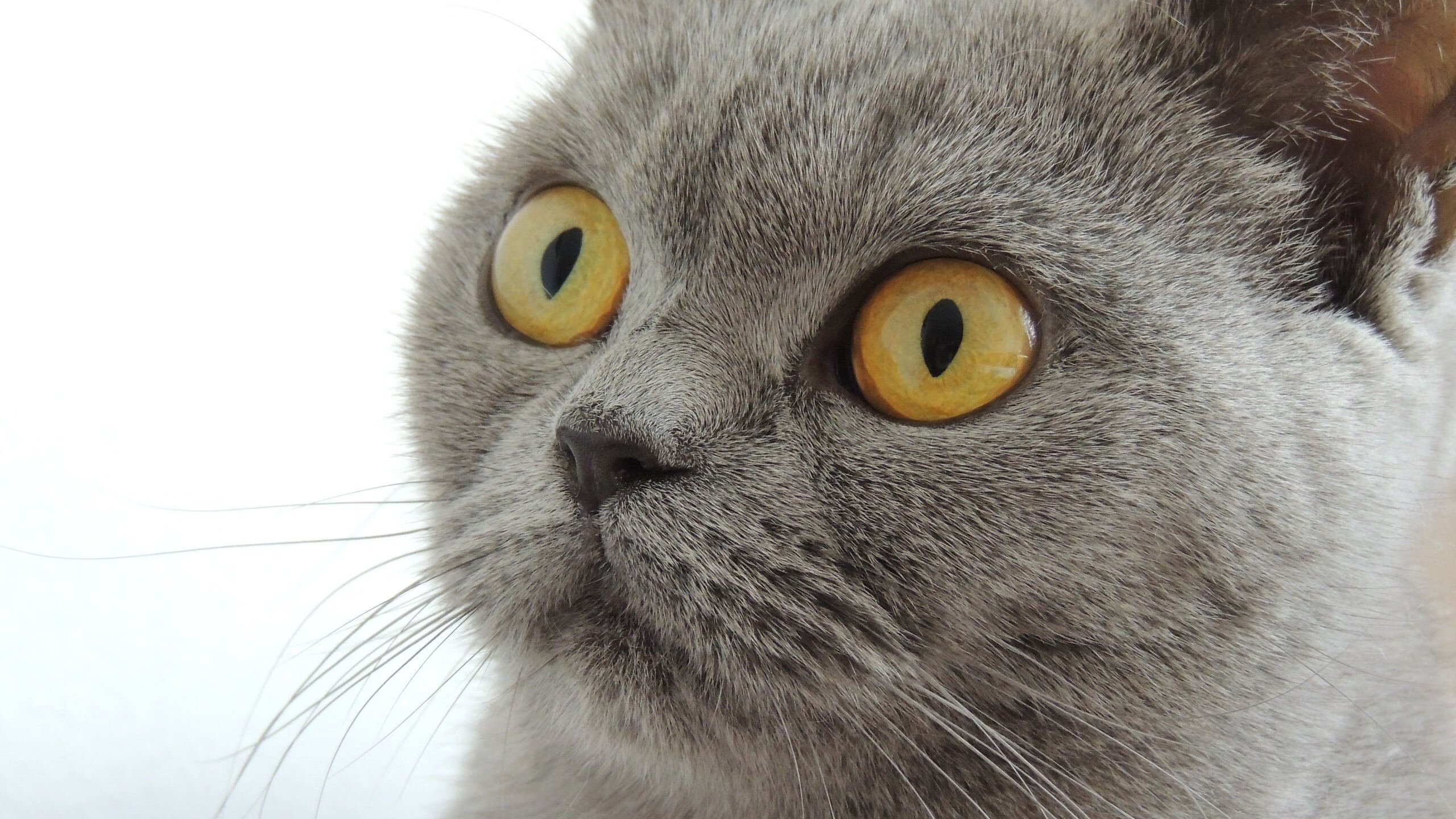 国际足联加强反兴奋剂措施，保障比赛公平，国际反兴奋剂机构