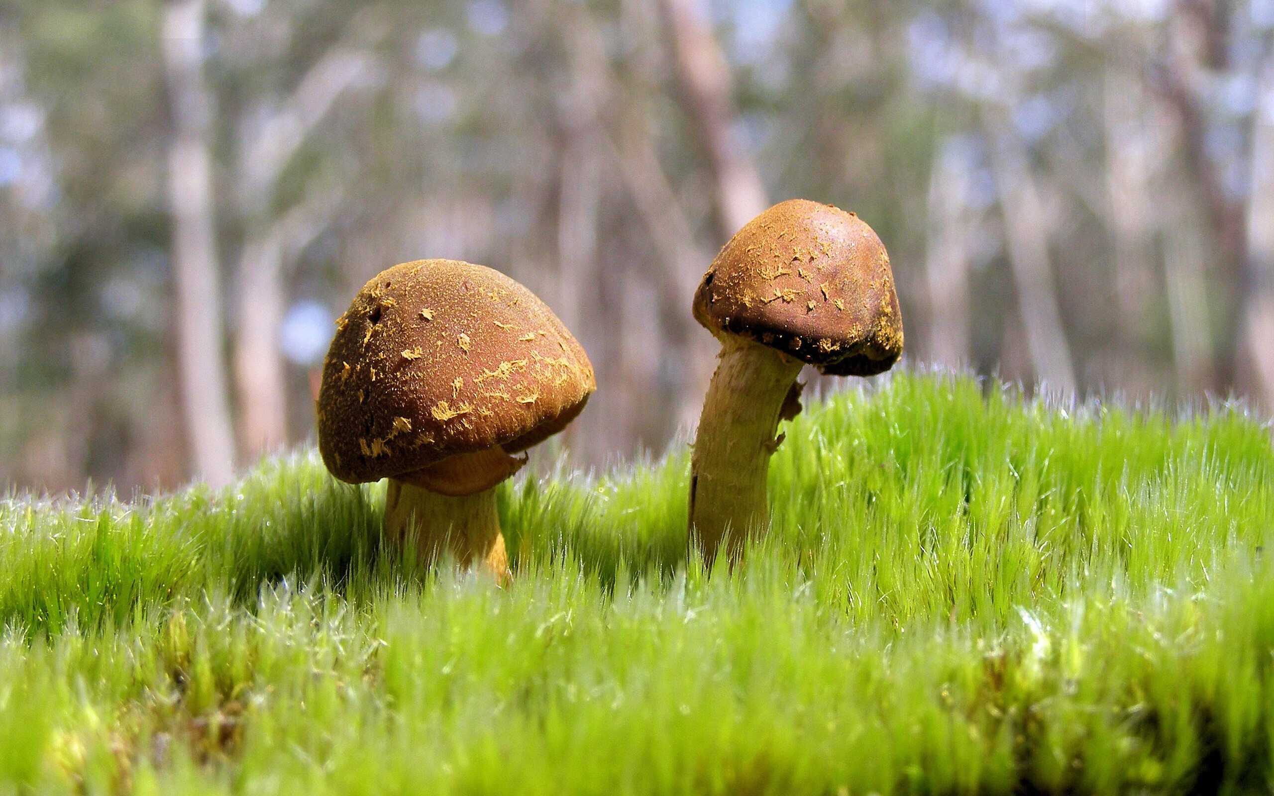 绿色节能足球场馆在多个城市落成，推动绿色体育发展，绿色节能设施有哪些