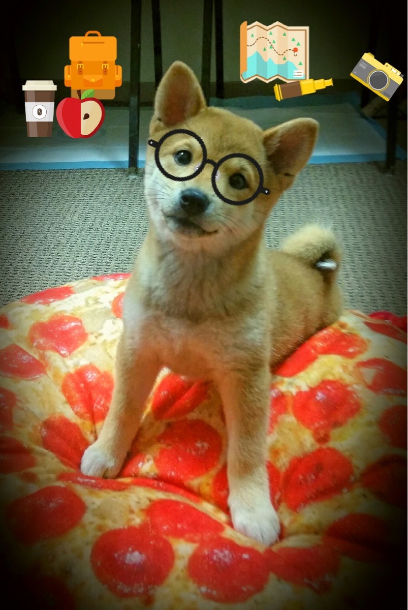 越南男篮在亚洲杯上攻势凌厉，逐步走向世界