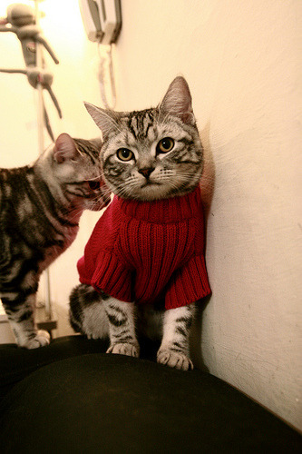 青少年足球教练员国际交流项目频繁开展，提升培训质量，全国青少年校园足球教练员培训